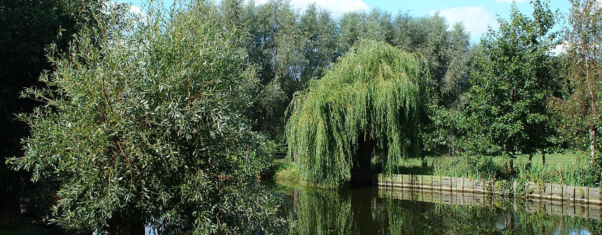 Terrace & Jardin - Ter Biest